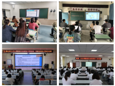 眉山市中小學心理健康與法治教育工作培訓會圓滿舉行，夯實教育文化根基